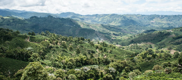 mountains of Honduras